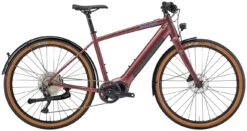 Kona Dew-E DL (2022)