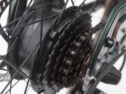 Electra Townie Go! 7D EQ Step-Over (2023) -Trek-myymälä TownieGo7DEQStepOver 22 35274 B Alt4